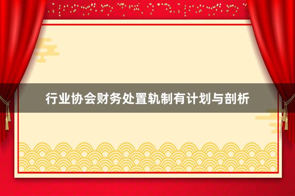 行业协会财务处置轨制有计划与剖析