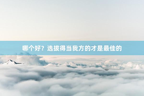 哪个好？选拔得当我方的才是最佳的